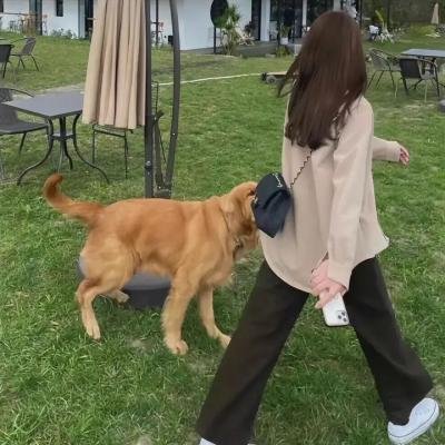 婆婆和妈妈第二季